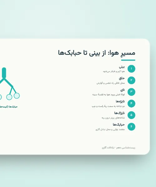روند فروش ماهانه